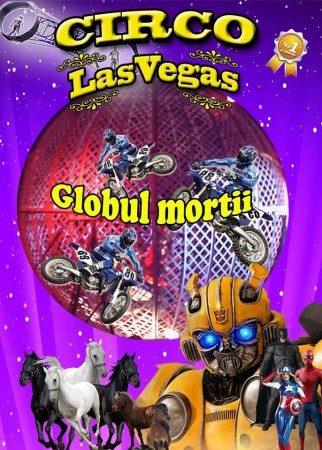 71498798_2390011561247019_9184989056591724544_n