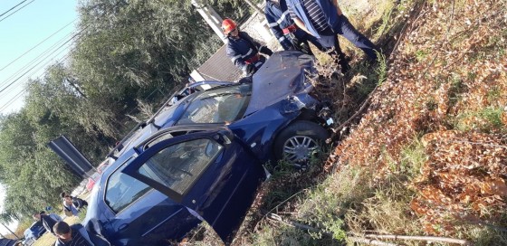 71665680_514022262712465_7550562174339383296_n