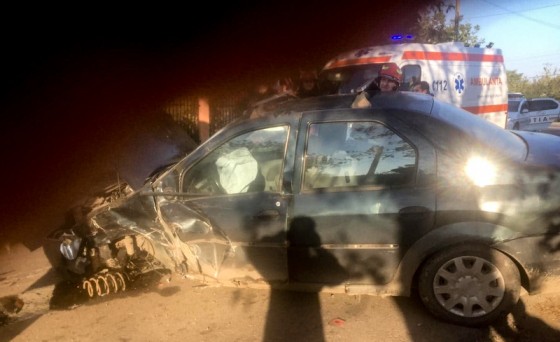 71898245_447324292552307_8850635516274540544_n