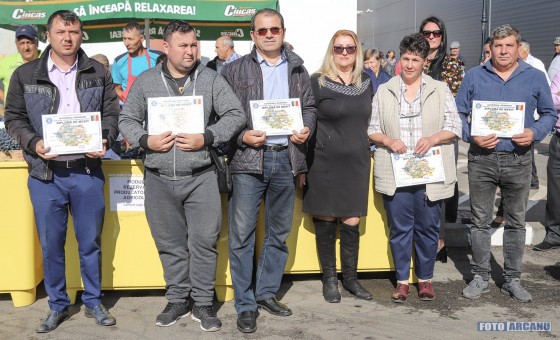 72385855_1157178797815484_4313325296188129280_o