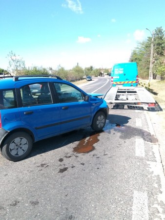 72702871_531251227447125_5749443191807934464_n