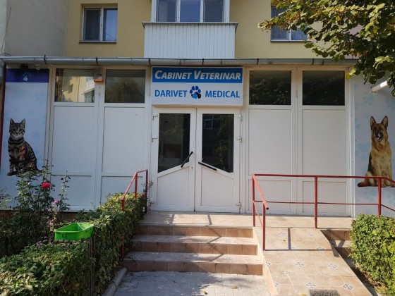 72955533_424627324865289_8825667969439760384_n