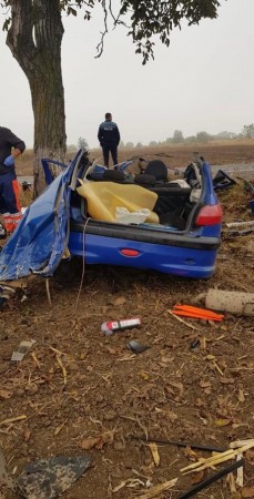 73082809_710306739379469_184635021942849536_n