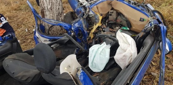 73375593_444903596151456_9159138511725527040_n