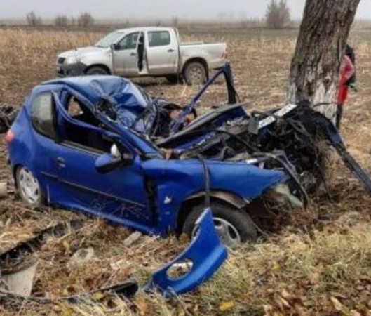 73422552_1320963041396421_2767199793330520064_n