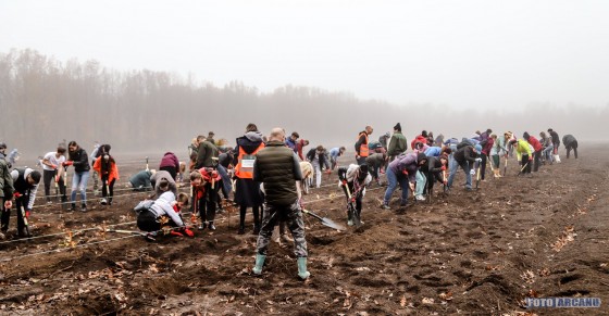 74209739_1189678524565511_3726009989001641984_o