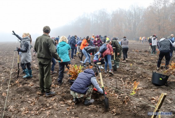 74803367_1189678404565523_8111185402242531328_o