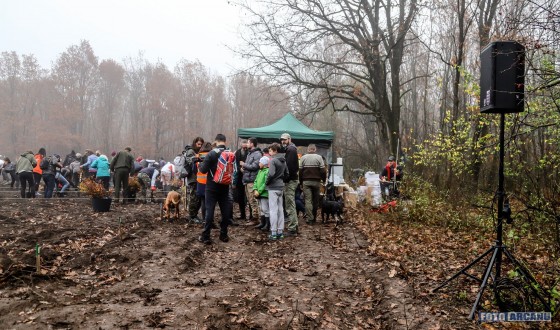 74961375_1189678371232193_2366035790456160256_o