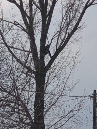 75303714_2452678811467015_790717605341036544_n