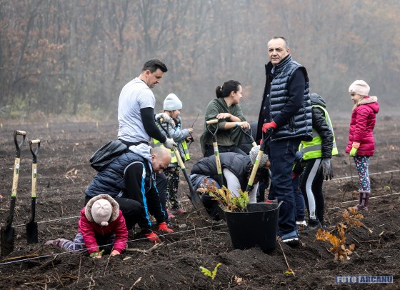 75486039_1189678187898878_722635643485683712_o