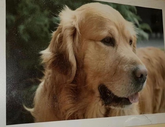 75572116_435152064069421_6276934981860196352_n