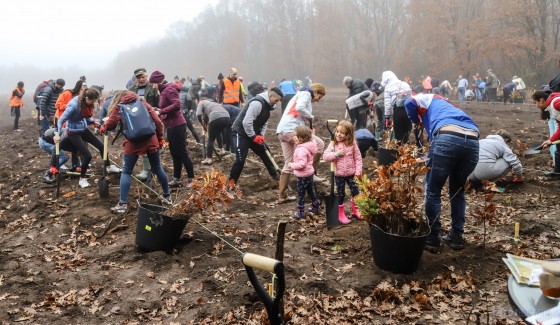 75610754_1189678444565519_4169764395116658688_o