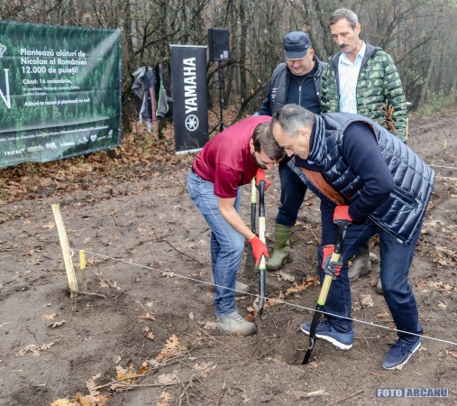 75625412_1189678607898836_6655849838665531392_o