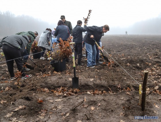 76618279_1189678291232201_8836076685242662912_o