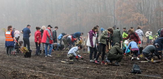 77210201_1189678021232228_4435865377477492736_o