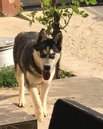 77269347_273558920255030_728785315099049984_n