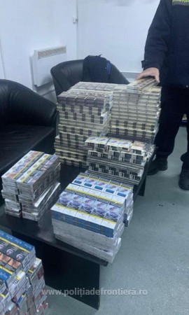 1577436957337-fototigarigiurgiu2712-S4