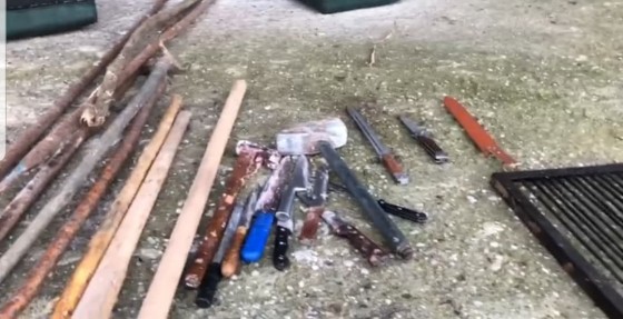 75456718_723330048178428_426279210684776448_n