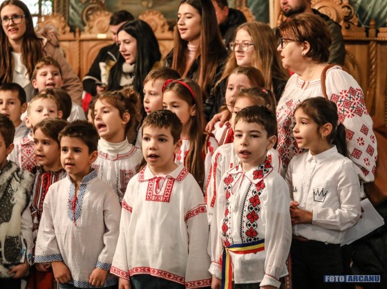 78582659_1208266489373381_1262943130617905152_o