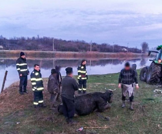 78693353_1492806190871579_838448461664747520_n