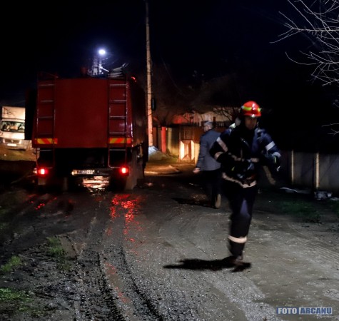 79178751_1213229638877066_4057270104893685760_o