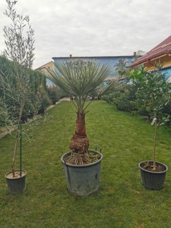 79309157_898857837196618_184135229483515904_n