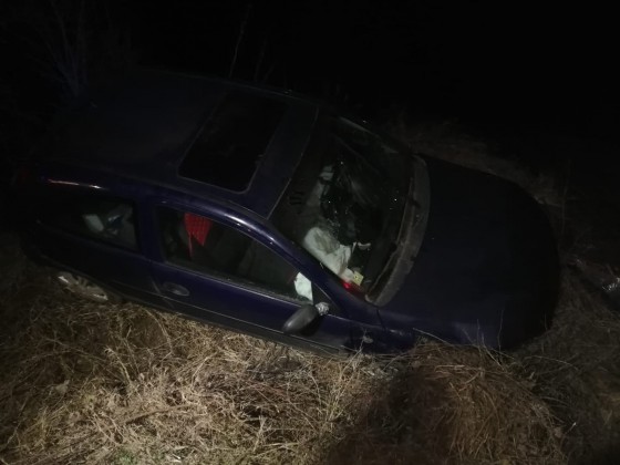 81872341_629050261168179_6300548785068048384_n