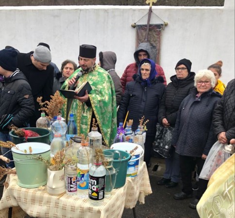 82001462_1239179712948725_2517372802831482880_o